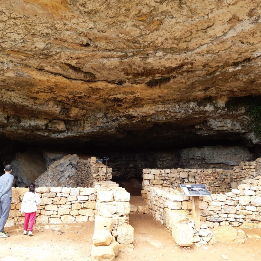 20200607_153312-scaled