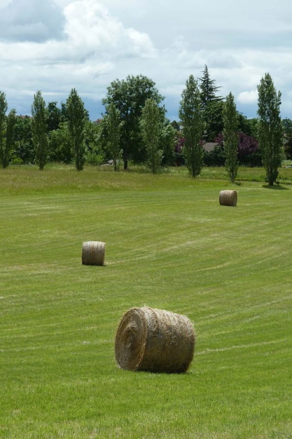 ball-ga37bba9ae_1920