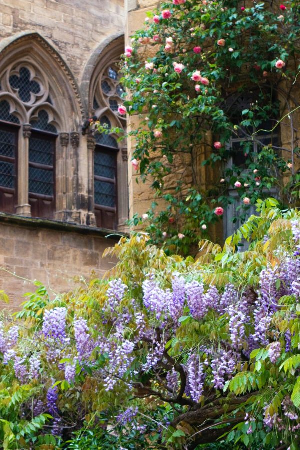 kamala-bright-xfLj0T9rvD4-unsplash